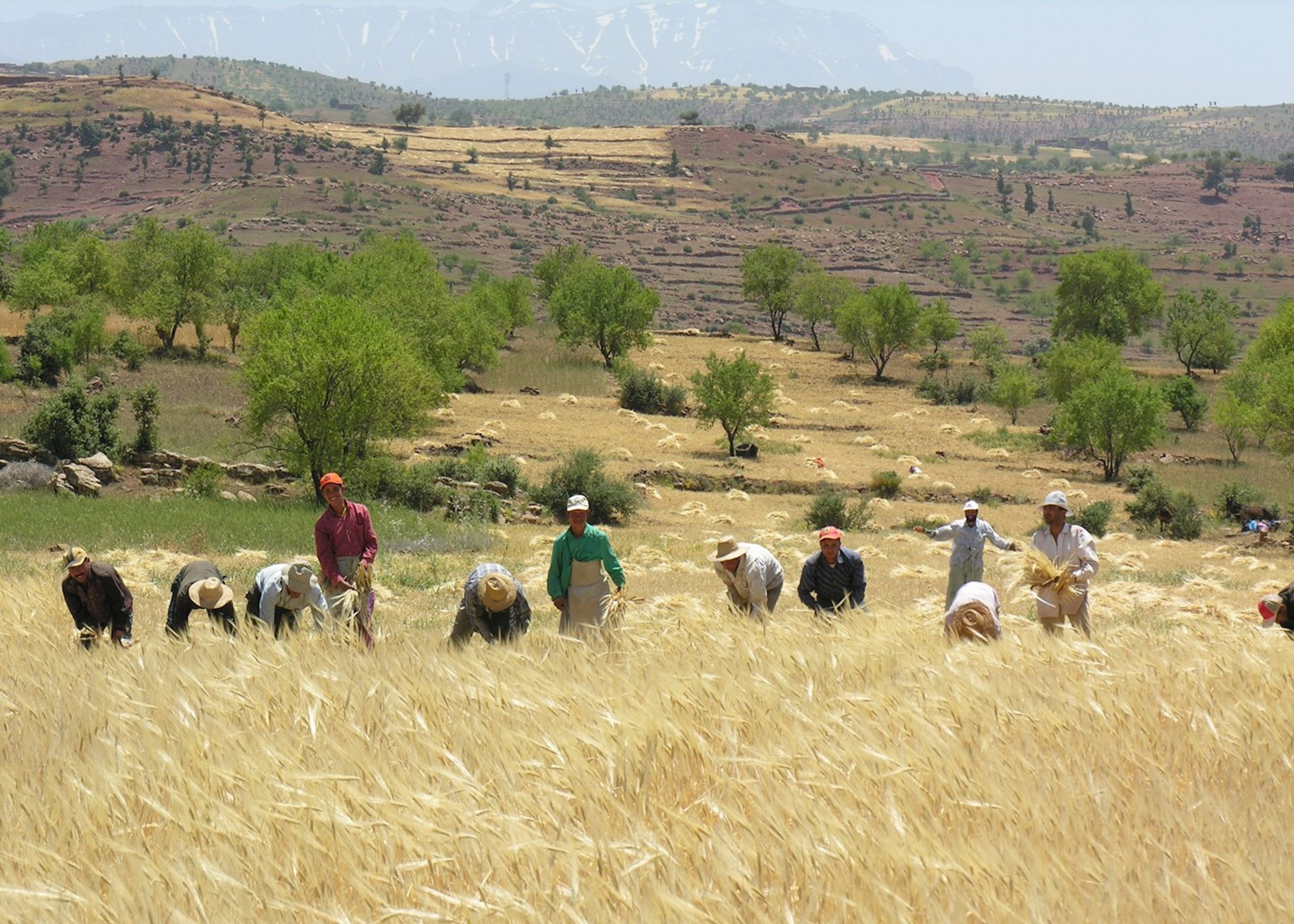 Aït Ben Haddou → Gorges du Dadès