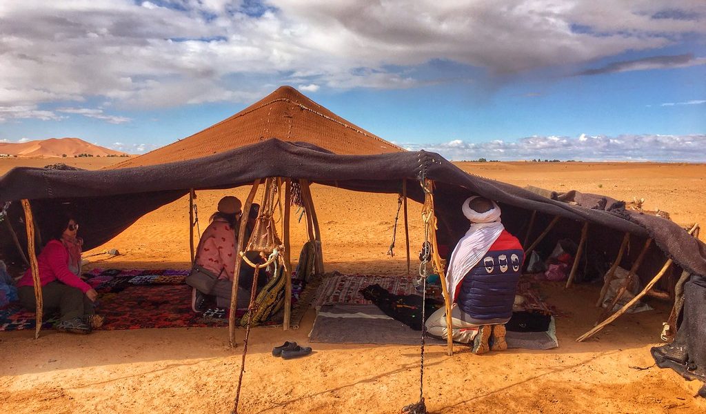 50302164267_cce6f1955b_b