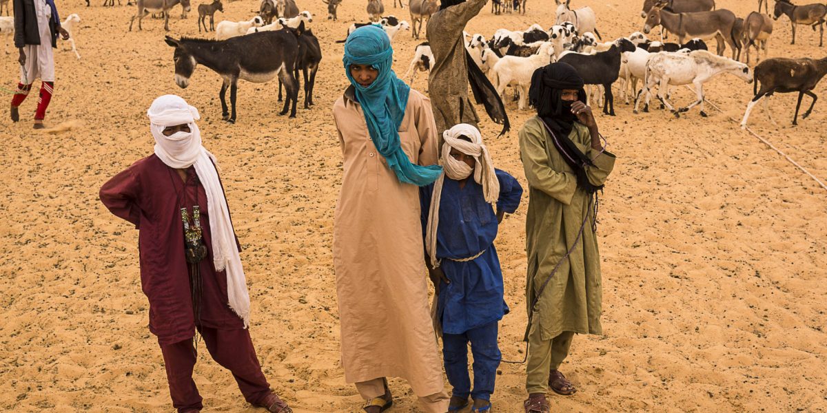 Young men,  boys and girls tend to their livestock: camels, goats, sheep, donkeys at a desert water well in the Ténéré region - Tchirozerine, north central Niger.