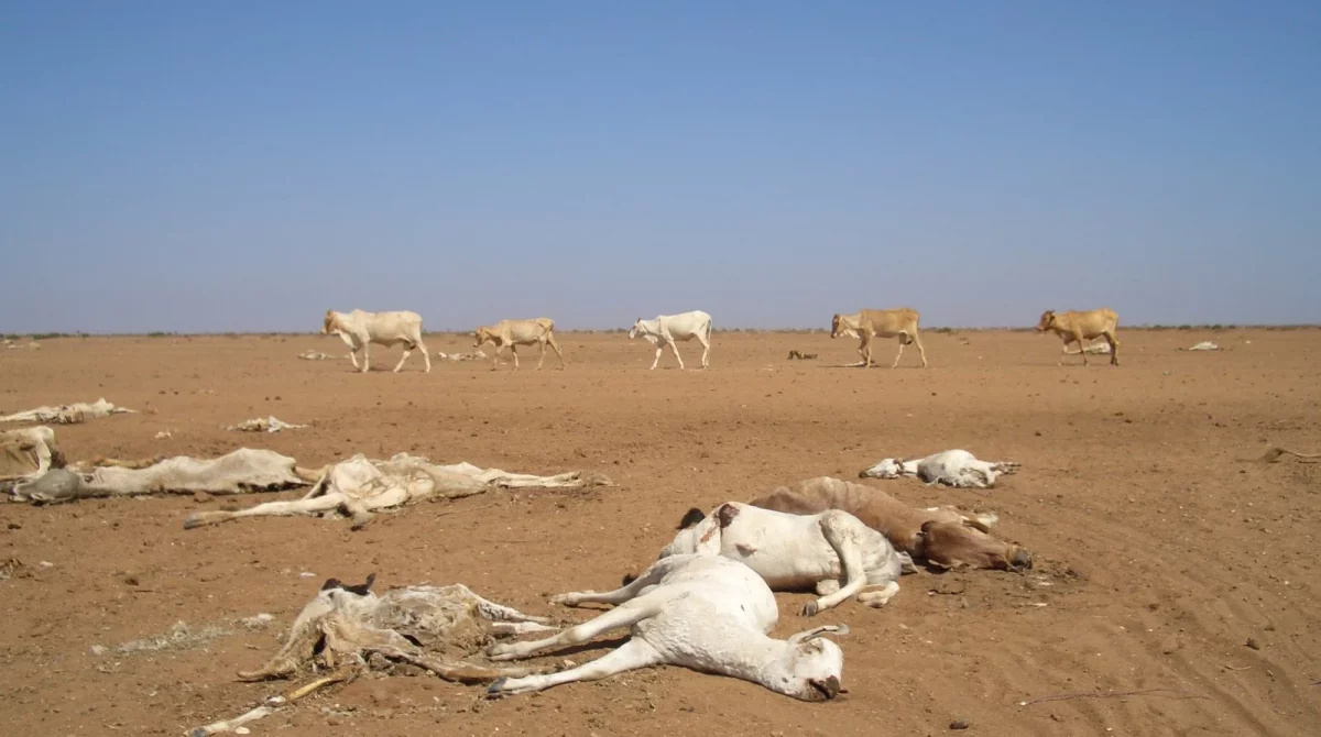 drought_kenya