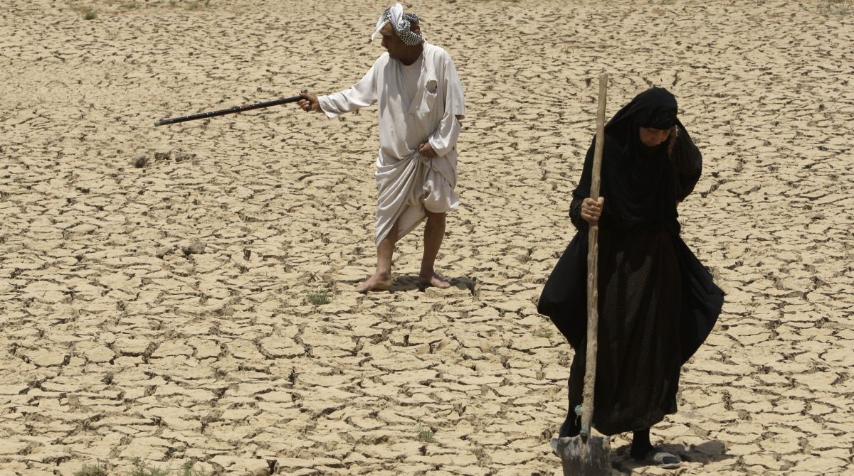 In this photo taken Thursday, July 9, 2009, Adilla Finchaan, 50 and her husband Ashore Mohammed, 60 check theIr land in Latifiyah, about 30 kilometers (20 miles) south of Baghdad, Iraq.  Below-average rainfall and insufficient water in the Euphrates and Tigris rivers _ something the Iraqis have blamed on dams in neighboring Turkey and Syria _ have left Iraq bone-dry for a second straight year.(AP Photo/Hadi Mizban)