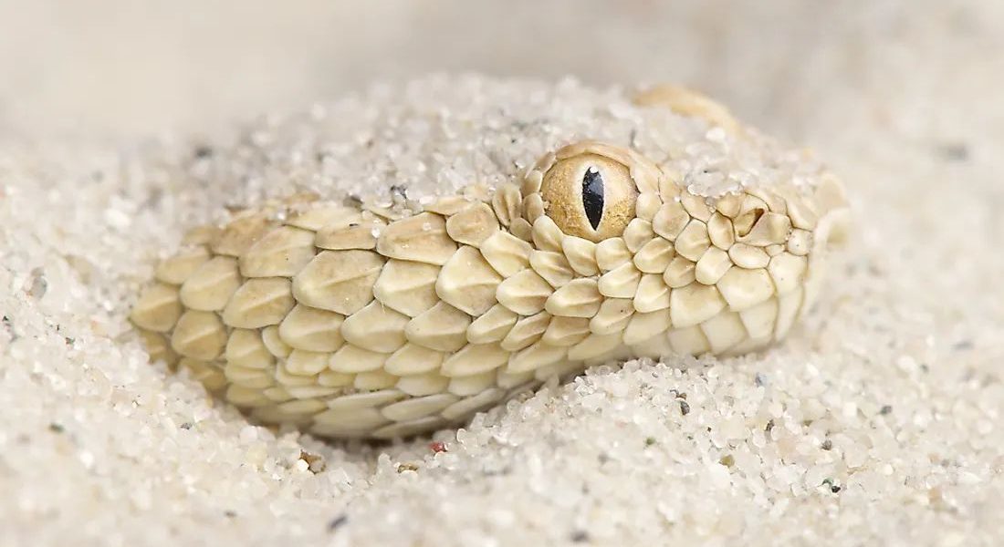 shutterstock-175834640_jpg_80